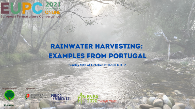 Open Space: Rainwater Harvesting