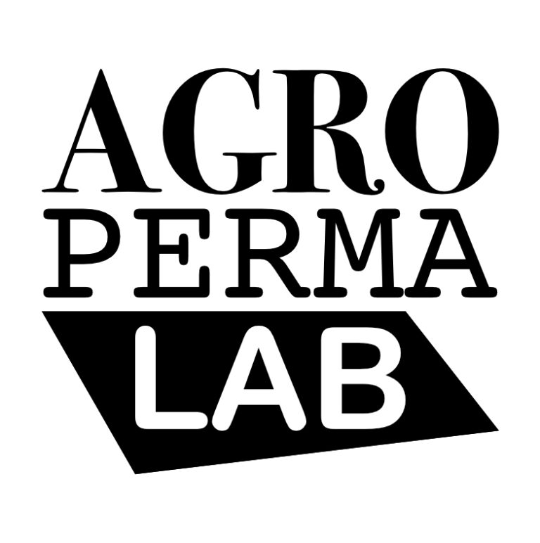Open Space: Supermarket Museum – reimagine the future of our food