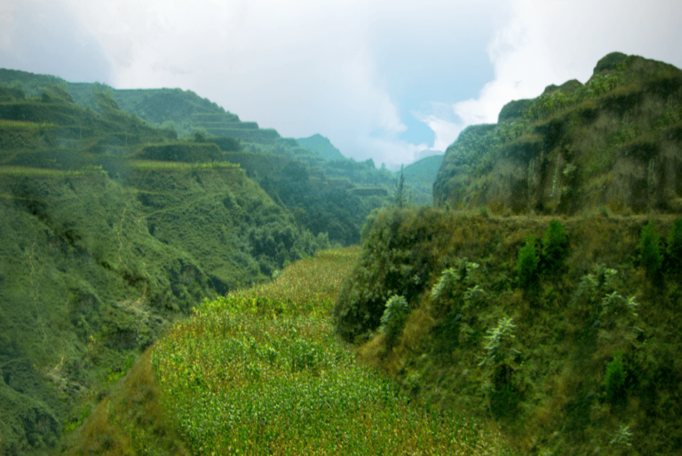 Healing Landscapes